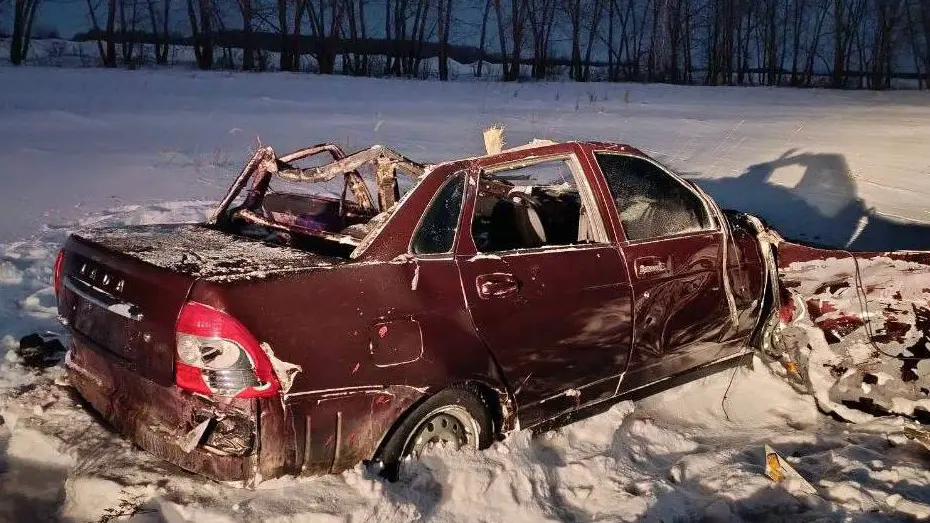 Лада влетела в двух лошадей, водитель и пассажир погибли