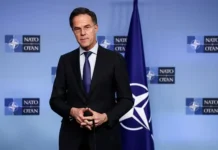 Марк Рютте: НАТО оценивает успехи России и отвечает Украине mark ryutte nato oczenivaet uspehi rossii i otvechaet ukraine-onlymainnews-ru-0