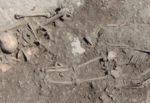 Новые открытия Уппсальского университета в культуре Готланда novye otkrytiya uppsalskogo universiteta v kulture gotlanda-onlymainnews-ru-0