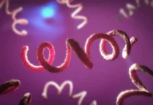 rospotrebnadzor i eksperty o zabolevaemosti sifilisom v rossii-onlymainnews-ru-0