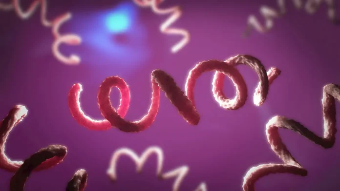 rospotrebnadzor i eksperty o zabolevaemosti sifilisom v rossii-onlymainnews-ru-0