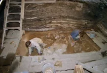 Российские открытия переписывают историю человечества - Денисова пещера rossijskie otkrytiya perepisyvayut istoriyu chelovechestva denisova peshhera-onlymainnews-ru-0