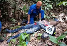 Спасение Человека-паука после падения на природе в Куала-Лумпуре spasenie chelovekapauka posle padeniya na prirode v kualalumpure-onlymainnews-ru-0