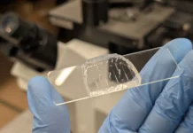 Ученые ИТМО и РНФ создали сенсор для ранней диагностики старения uchenye itmo i rnf sozdali sensor dlya rannej diagnostiki stareniya-onlymainnews-ru-0