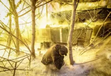 Генпрокуратура РФ сообщила приговор Зазе Шонии - 28 лет genprokuratura rf soobshhila prigovor zaze shonii 28 let-onlymainnews-ru-0