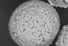 himiki kncz so ran i sfu predlozhili utilizacziyu czeziya i stroncziya-onlymainnews-ru-0