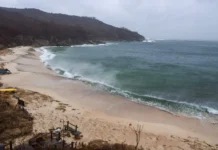 ИИ-камеры защищают остров Фуругельма и малых колпиц в заповеднике iikamery zashhishhayut ostrov furugelma i malyh kolpicz v zapovednike-onlymainnews-ru-0