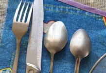 Росгвардия обеспечила безопасность в Воскресенске и Домодедово rosgvardiya obespechila bezopasnost v voskresenske i domodedovo-onlymainnews-ru-0