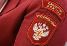 rospotrebnadzor detali rassledovaniya ospy obezyan prognoz uluchsheniya-onlymainnews-ru-0