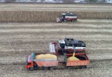 Росспецмаш и Минсельхоз обсуждают восстановление рынка сельхозтехники rosspeczmash i minselhoz obsuzhdayut vosstanovlenie rynka selhoztehniki-onlymainnews-ru-0