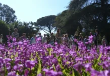 bessarab i rakova obsudili majskie prazdniki v moskve-onlymainnews-ru-0