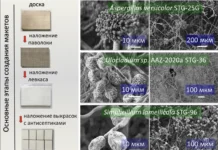 ficz biotehnologii ran zashhishhaet tretyakovskuyu galereyu-onlymainnews-ru-0