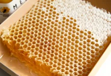 ilya bereznyuk iz    o mede uzbekistana i tadzhikistana-onlymainnews-ru-0