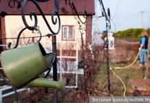 mchs rossii sovetuet kak vybrat i kupit dachnyj uchastok-onlymainnews-ru-0