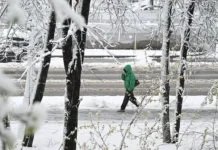 moskva i vdnh voshli v istoriyu meteonablyudenij obnoviv rekordy aprelya-onlymainnews-ru-0