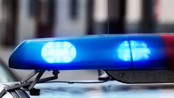 policziya yaponii rassleduet inczident v parke-onlymainnews-ru-0