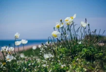 Примгидромет обещает весеннее потепление до +18 градусов primgidromet obeshhaet vesennee poteplenie do 18 gradusov-onlymainnews-ru-0