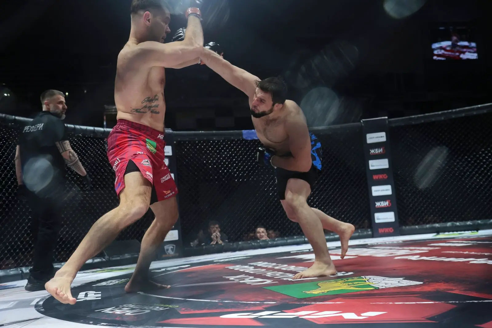 Шаломаев и Знаменский защитили титулы на Фетисов Арене Владивостока-0