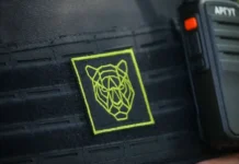 tigrpravoporyadok vo vladivostoke vskryvaet tajny olega kozhemyako-onlymainnews-ru-0