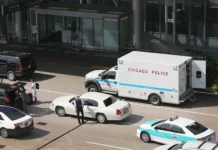 В аэропорту Чикаго сотрудники обнаружили необычный багаж из Камеруна v aeroportu chikago sotrudniki obnaruzhili neobychnyj bagazh iz kameruna-onlymainnews-ru-0