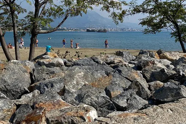 Вводная картинка