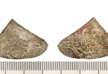arheologi obnaruzhili monety  veka v kitajgorodskom proekte-onlymainnews-ru-0