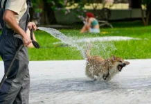czentr fobos soobshhaet ob obnovlenii temperaturnyh rekordov v moskve-onlymainnews-ru-0