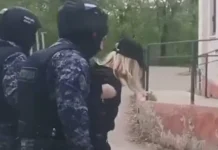 devushka iz voskresenska i paren iz ryazani ih istorii i nadezhdy-onlymainnews-ru-0
