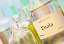 Елена Малинникова уверена: Эбола в России маловероятна elena malinnikova uverena ebola v rossii maloveroyatna-onlymainnews-ru-0