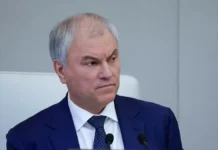 gosduma i volodin usilyat kontrol za trudovymi migrantami mvd gotovo-onlymainnews-ru-0