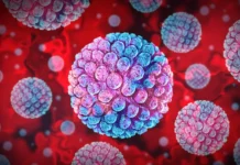 norovirus pobezhden profilaktika lechenie infekczii  klyuchevye fakty-onlymainnews-ru-0