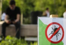 СберЗдоровье даёт рекомендации при укусе клеща sberzdorove dayot rekomendaczii pri ukuse kleshha-onlymainnews-ru-0