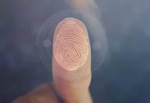 sovety po otchetnosti za perelet po biometrii v sheremetevo i pulkovo-onlymainnews-ru-0