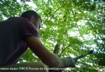 sud sochi vynes spravedlivyj prigovor za izyatoe oruzhie-onlymainnews-ru-0