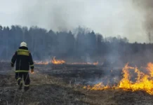 Тыва и МЧС сдерживают 4 лесных пожара, ситуация под контролем tyva i mchs sderzhivayut 4 lesnyh pozhara situacziya pod kontrolem-onlymainnews-ru-0