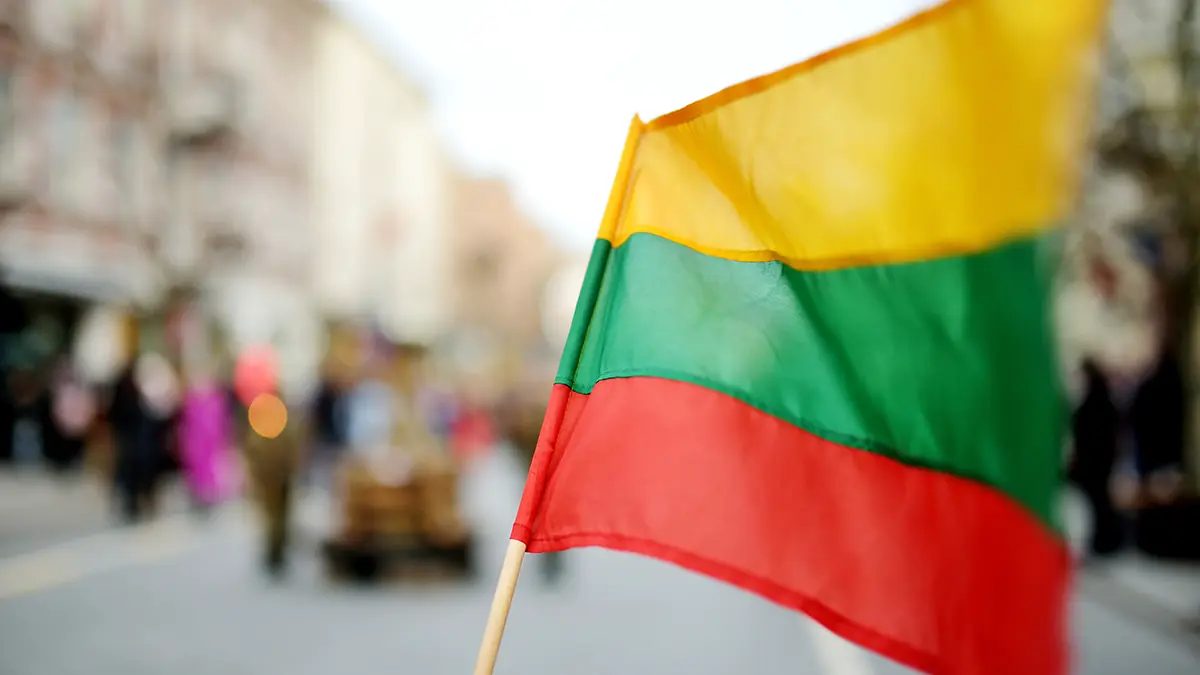 Упавший в Литве беспилотник предварительно признали украинским