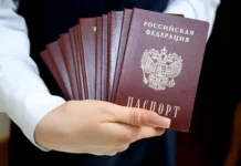 yuristy obyasnili kak zamenit pasport za graniczej cherez gosuslugi-onlymainnews-ru-0