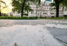 Наталья Морозова КДЦ МОНИКИ: простые правила против аллергии natalya morozova kdcz moniki prostye pravila protiv allergii-onlymainnews-ru-0