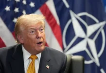 Дональд Трамп выразил недовольство НАТО на саммите в Анкаре donald tramp vyrazil nedovolstvo nato na sammite v ankare-onlymainnews-ru-0