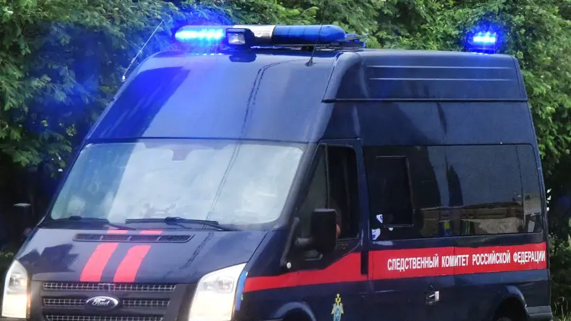 СК начал проверку после гибели ребёнка из-за падения дерева под Тверью