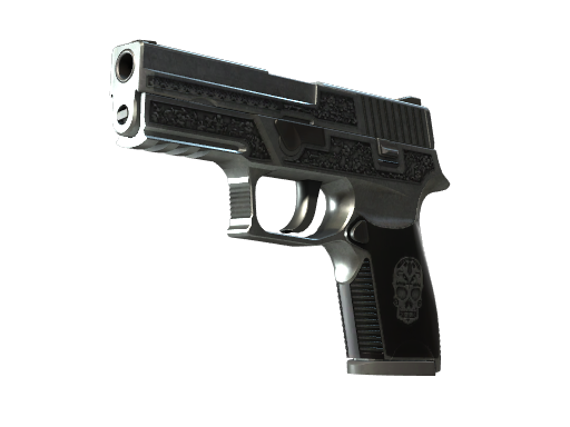 P250 | Cartel (Well-Worn)