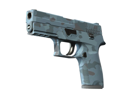 P250 | Forest Night (Battle-Scarred)