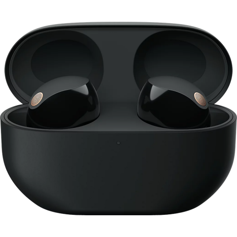 Гарнитура Sony WF-1000XM5 Black_2