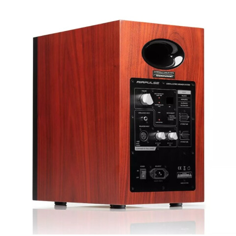 Колонки AirPulse A300PRO Walnut_2