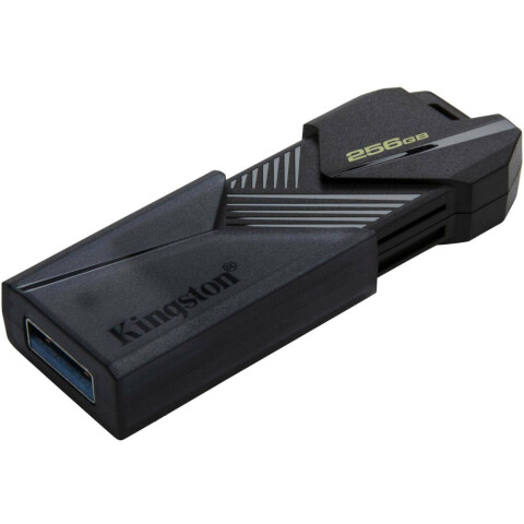 USB Flash накопитель 256Gb Kingston DataTraveler Exodia Onyx Black (DTXON/256GB)_0