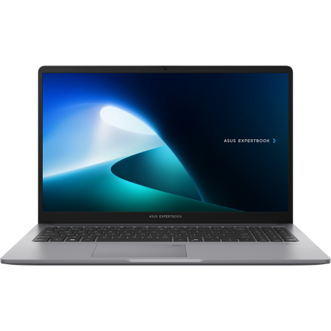 Ноутбук ASUS P1503CVA ExpertBook P1 (S70352)