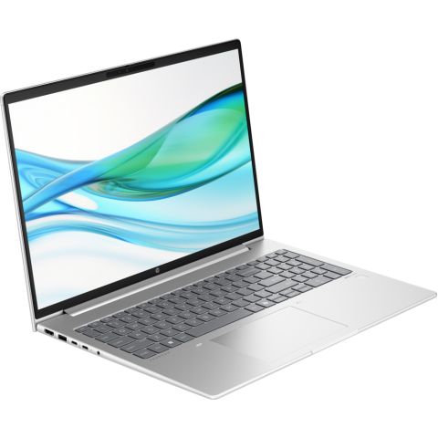 Ноутбук HP ProBook 465 G11 (901H4AV)_0
