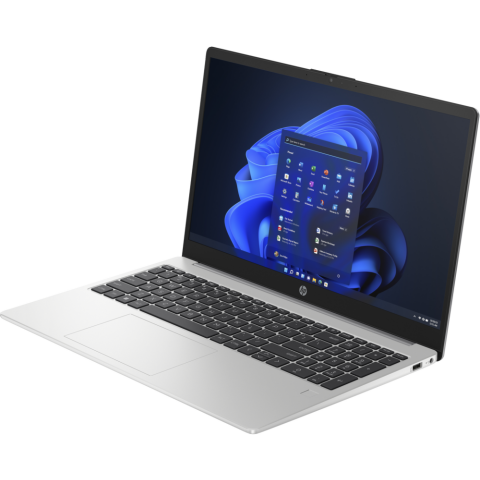 Ноутбук HP 250 G10 (AK9X1AT)_1