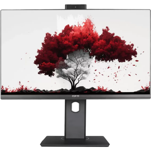 Монитор RDW Computers 24" RDW2402K (F13В360V2A1)