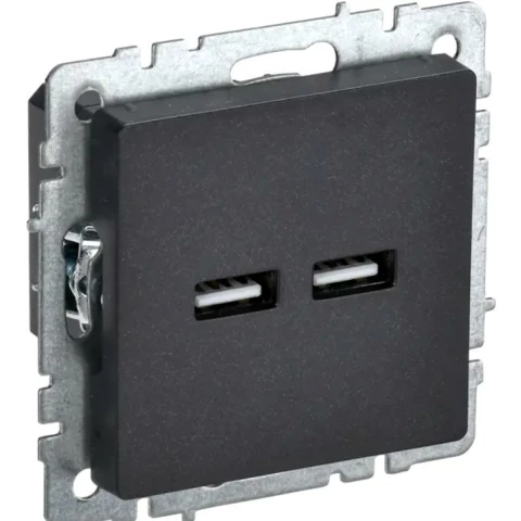 Розетка USB IEK BRITE BR-U21-D31-K02